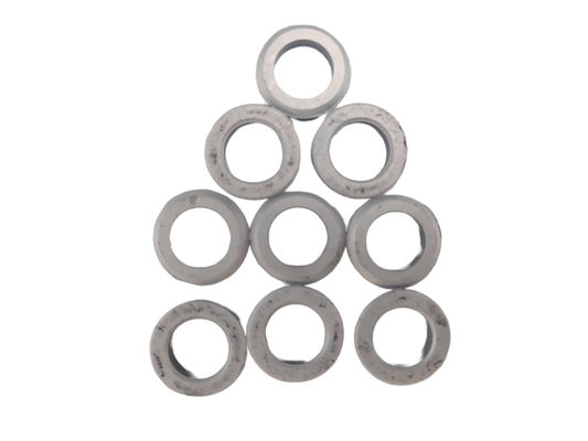 Produsen Segel Tungsten Karbida yang tahan lama